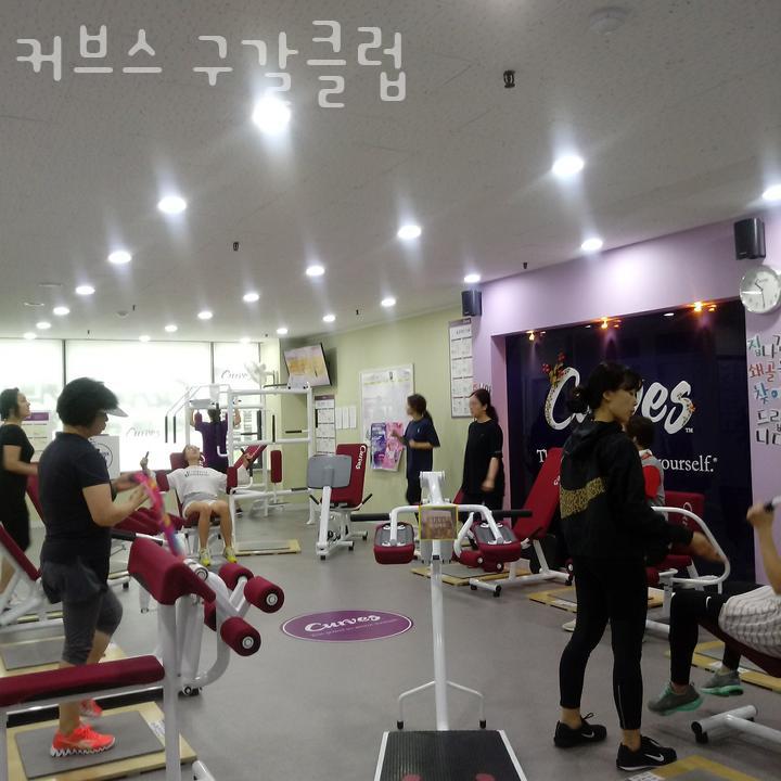 커브스구갈클럽 이미지