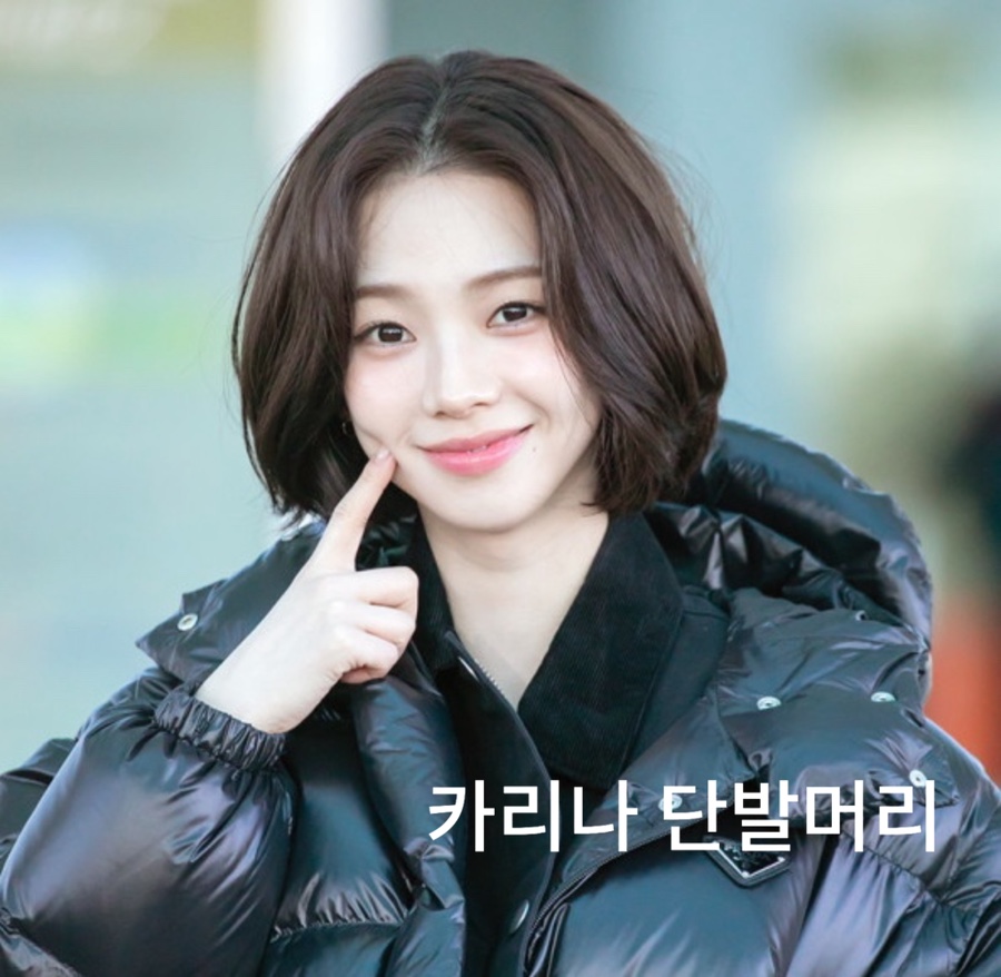 더마치헤어 이미지