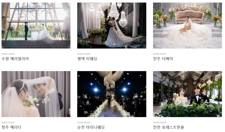 피오라스냅 이미지