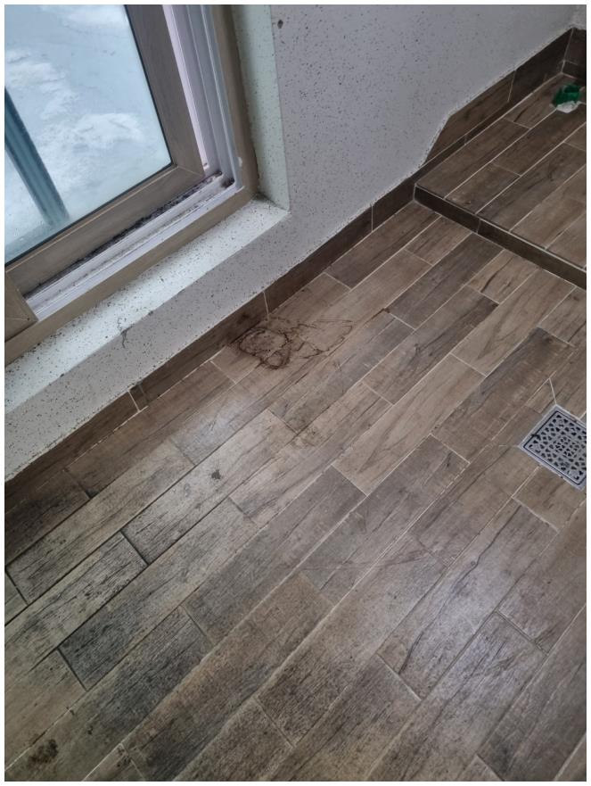올케어 종합환경 이미지