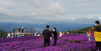 경남 전세버스 협동조합 이미지