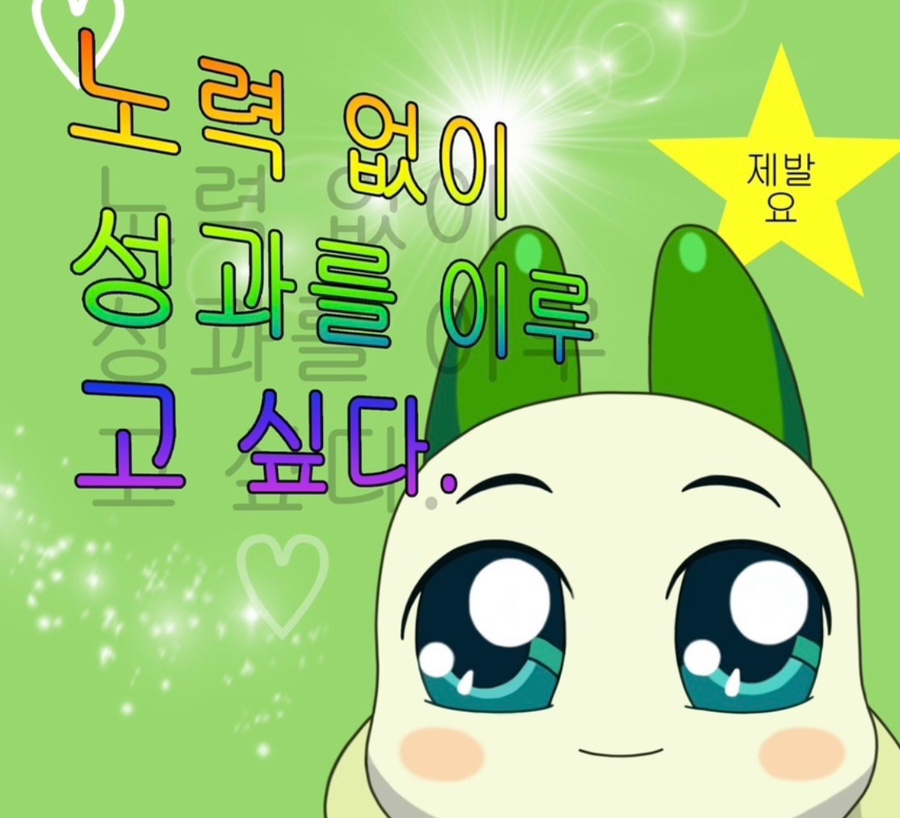 보보식당 이미지