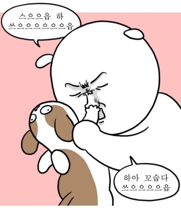 백수 이미지