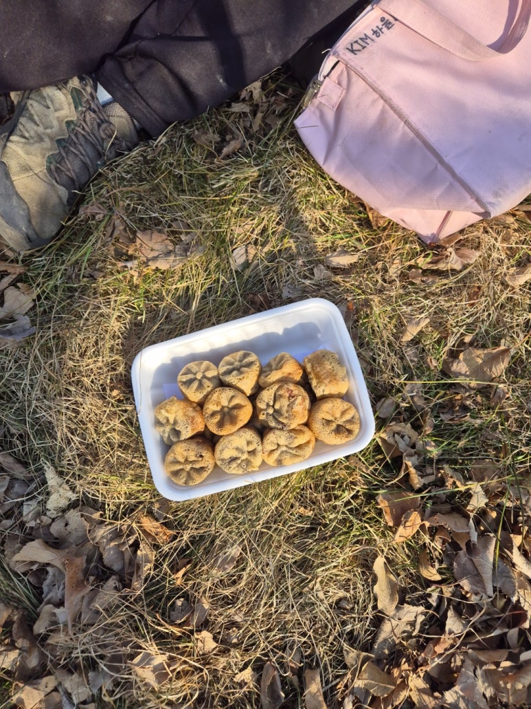 꿀맛과수원 이미지
