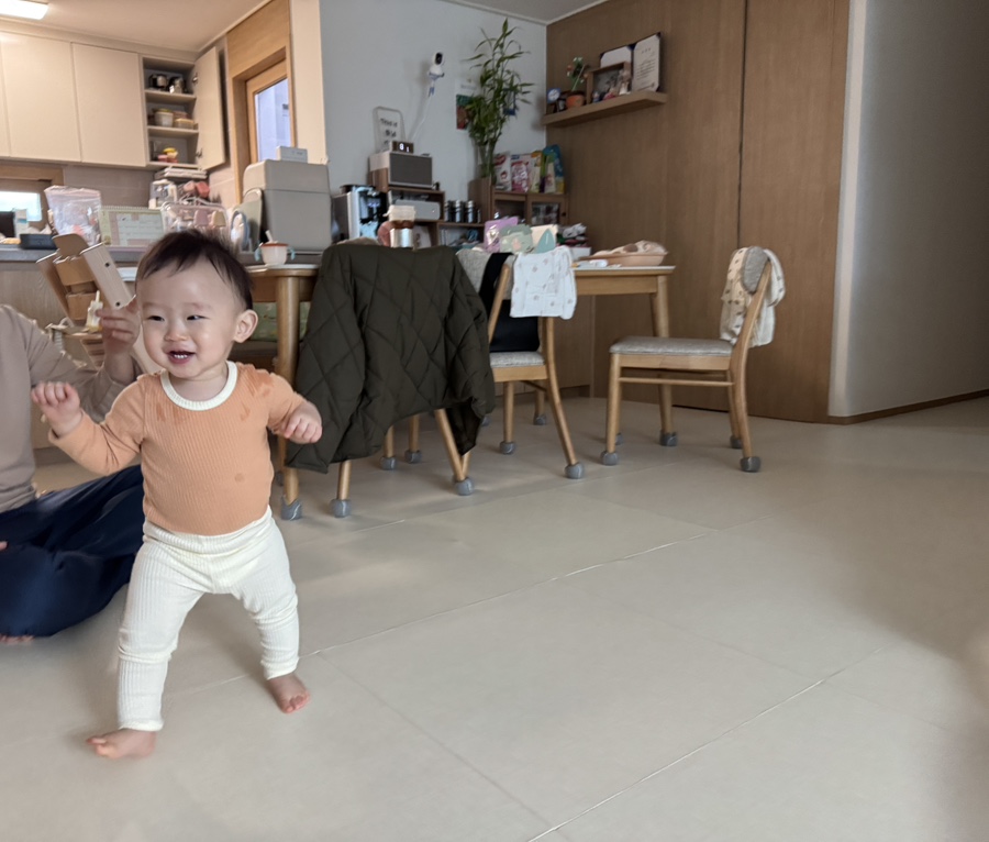 돌고래사과 이미지