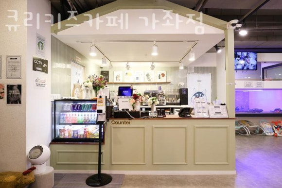 큐리키즈카페 이미지