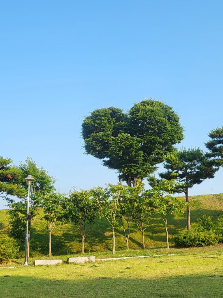 내당한우 이미지