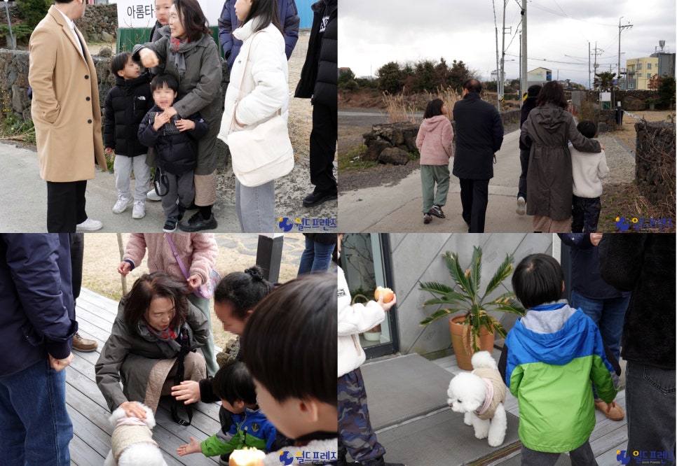 스마일앤조이 이미지