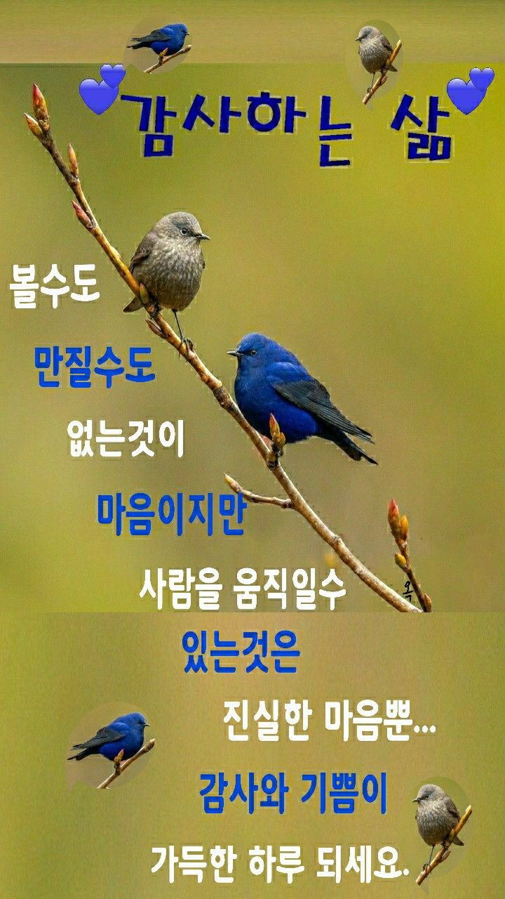 에스앤비컨설팅 이미지
