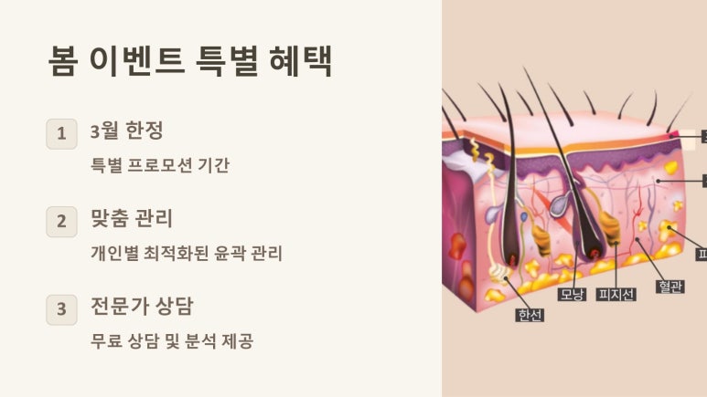작은얼굴에스테틱 이미지