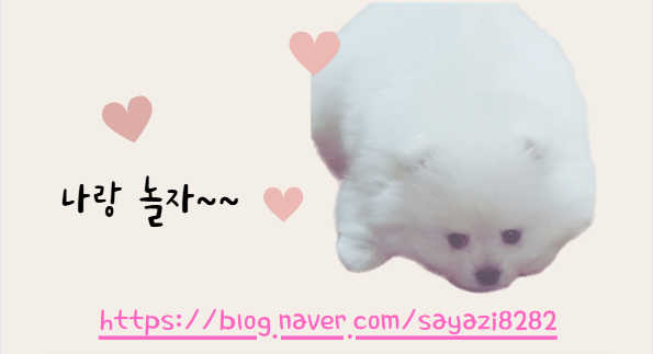 스마일찹쌀꽈배기 사진 6