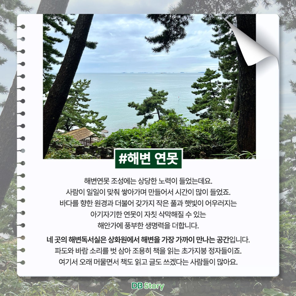소설가의 낙원 이미지