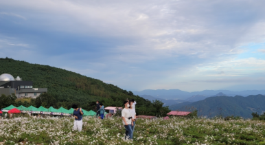경남 전세버스 협동조합 이미지