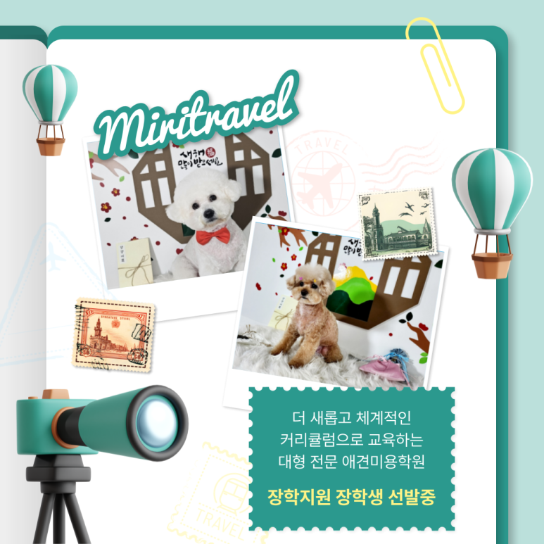 평택애견미용학원 이미지