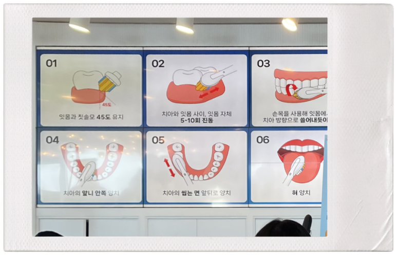 소닉메이트 이미지