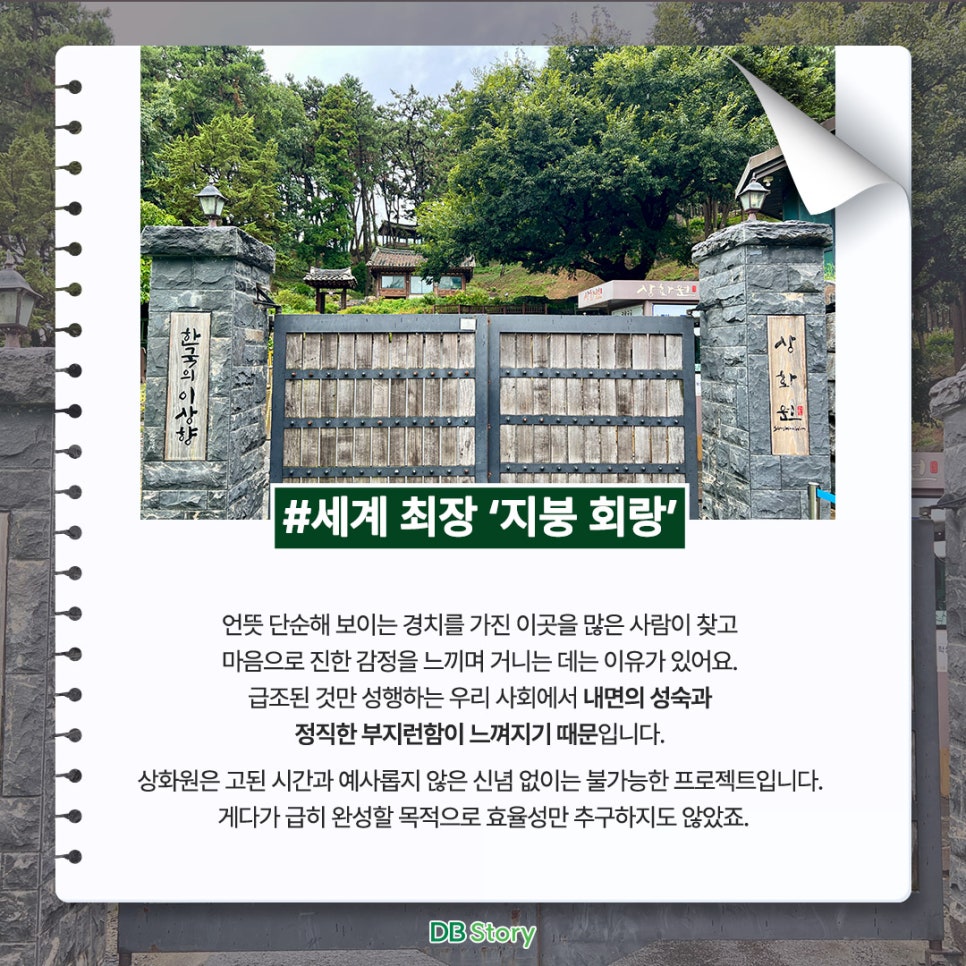 소설가의 낙원 이미지