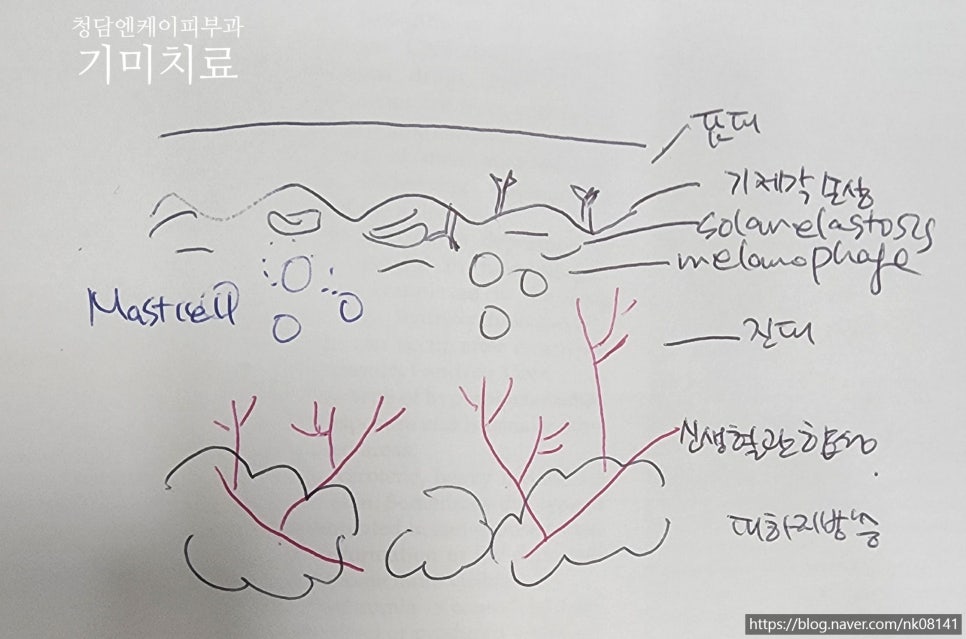 청담엔케이피부과청담NK피부과 이미지