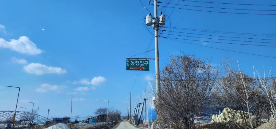 영일농장 이미지