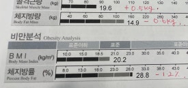 에소코핏화성 이미지