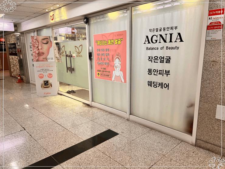 아그니아 이미지