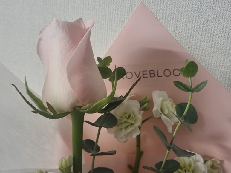 그로브블룸 이미지