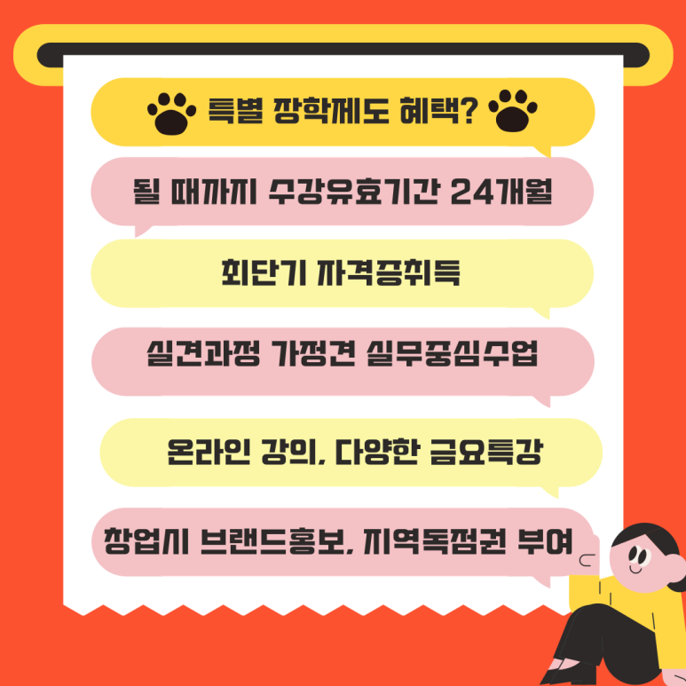 평택애견미용학원 이미지