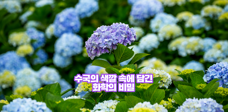 영원화학 이미지