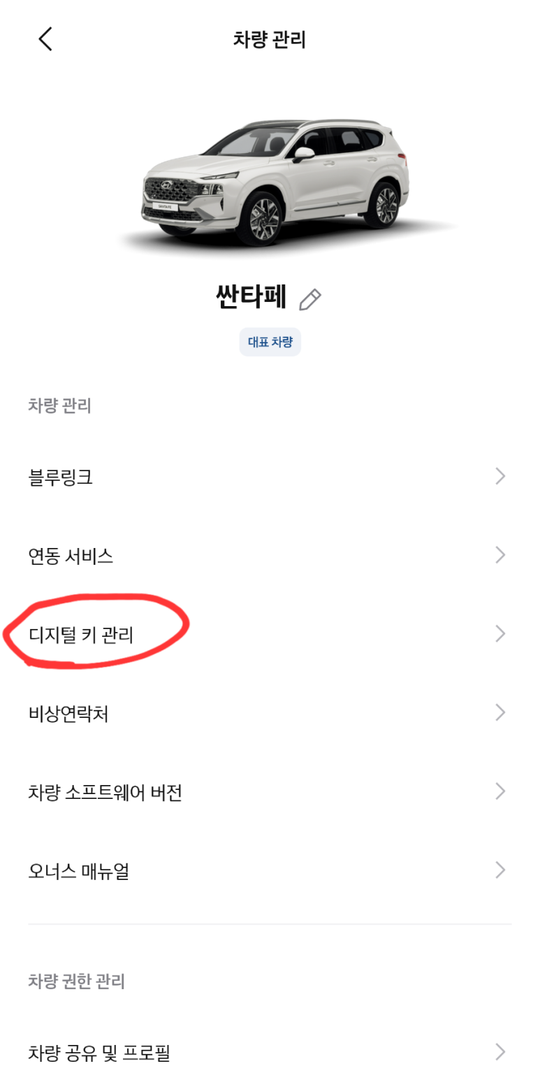 마이디지털 이미지