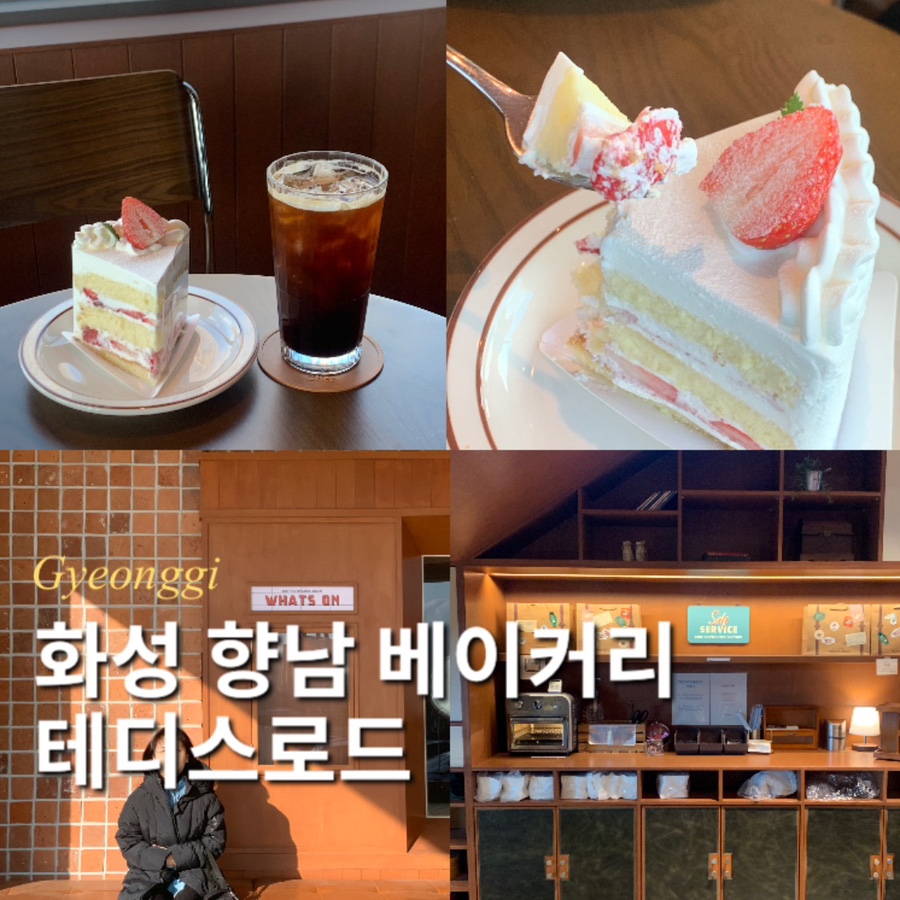 테디스로드 이미지