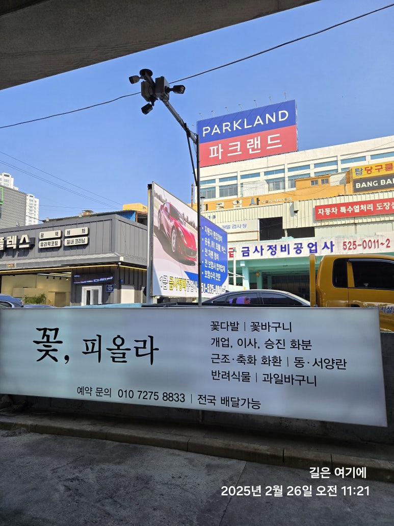 꽃피올라 이미지