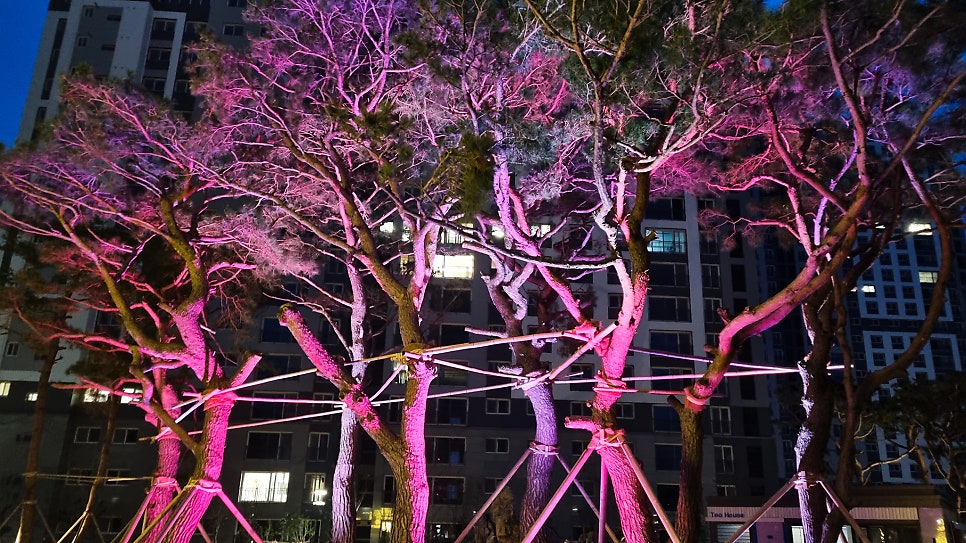 사계절조경 이미지