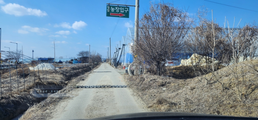 영일농장 이미지