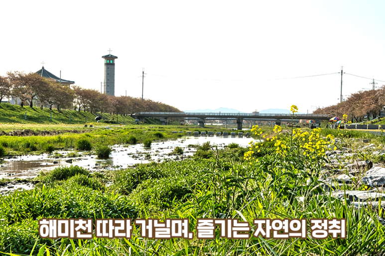 읍성100 이미지