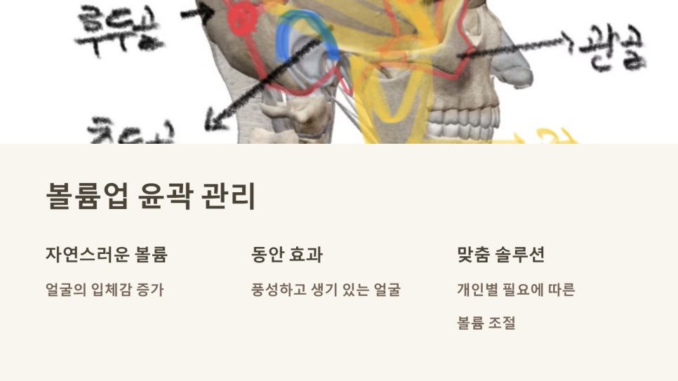 작은얼굴에스테틱 이미지