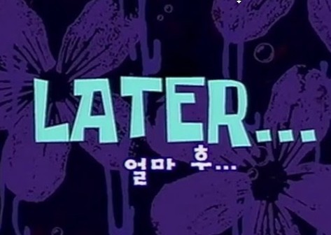 보하비 이미지