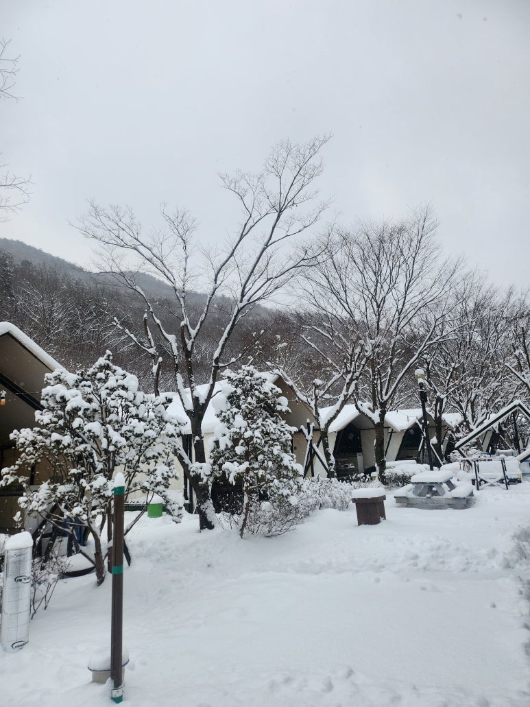 계룡산글램핑동월숲 이미지