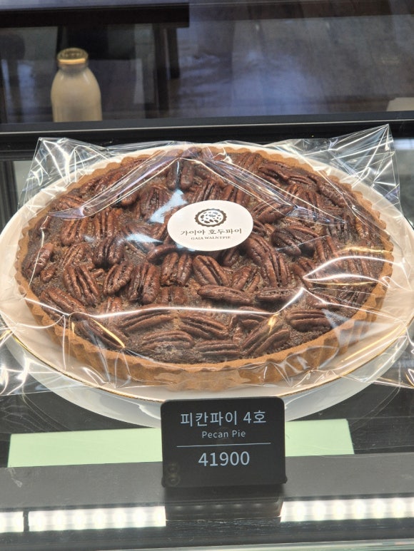 가이아 호두파이 이미지