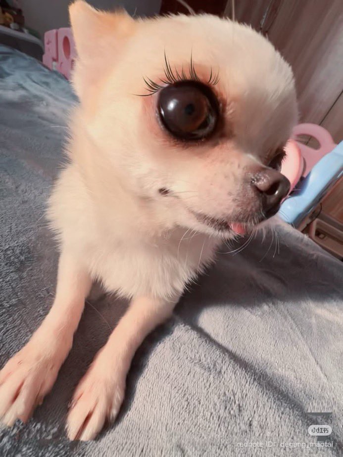바바 이미지
