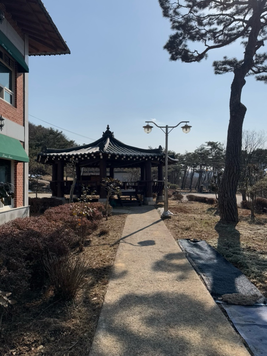 송다원 이미지