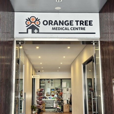 오렌지트리(Orange tree) 이미지