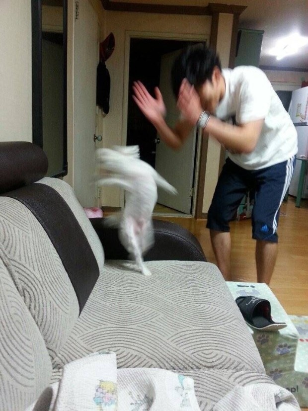 조안나베이킹스튜디오 이미지