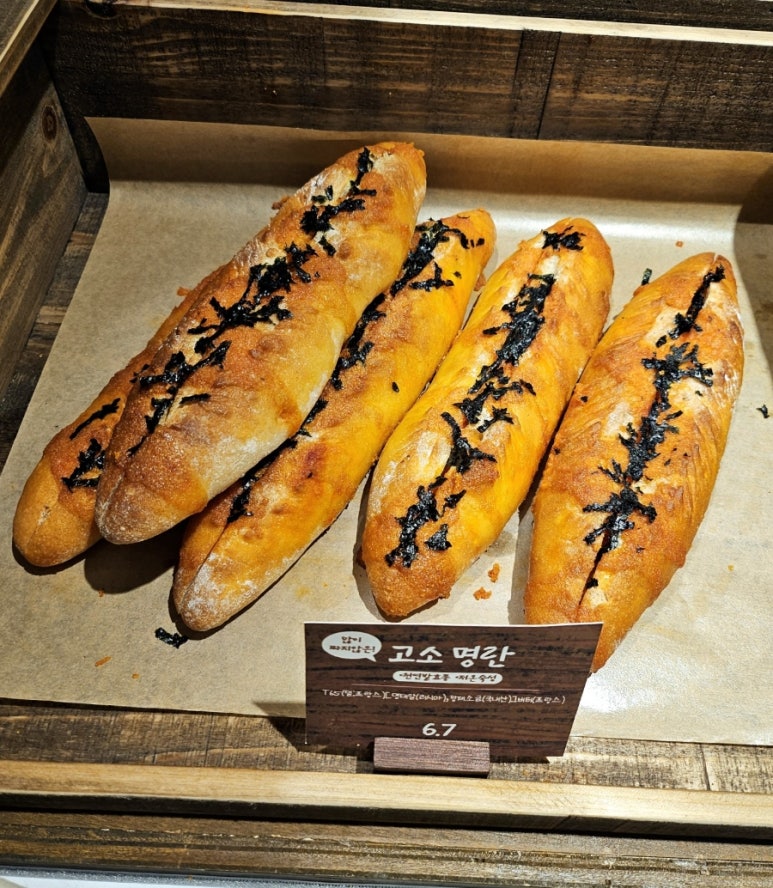 몰리하우스 이미지