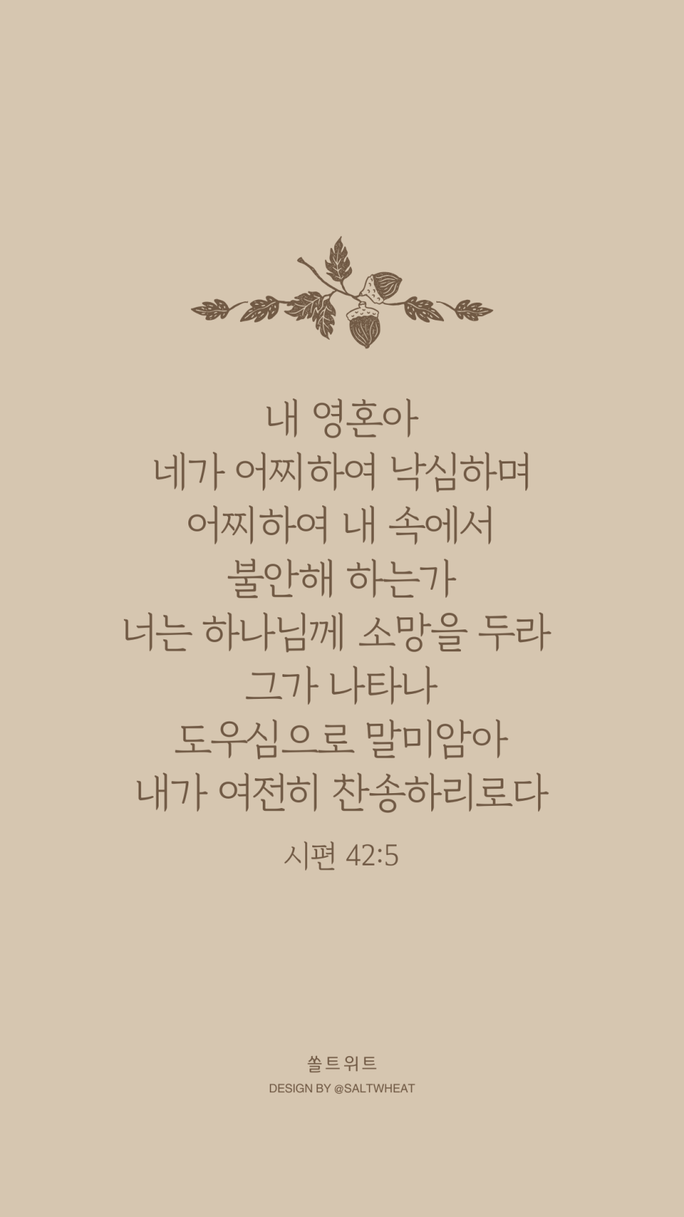 디자인쏠트 이미지