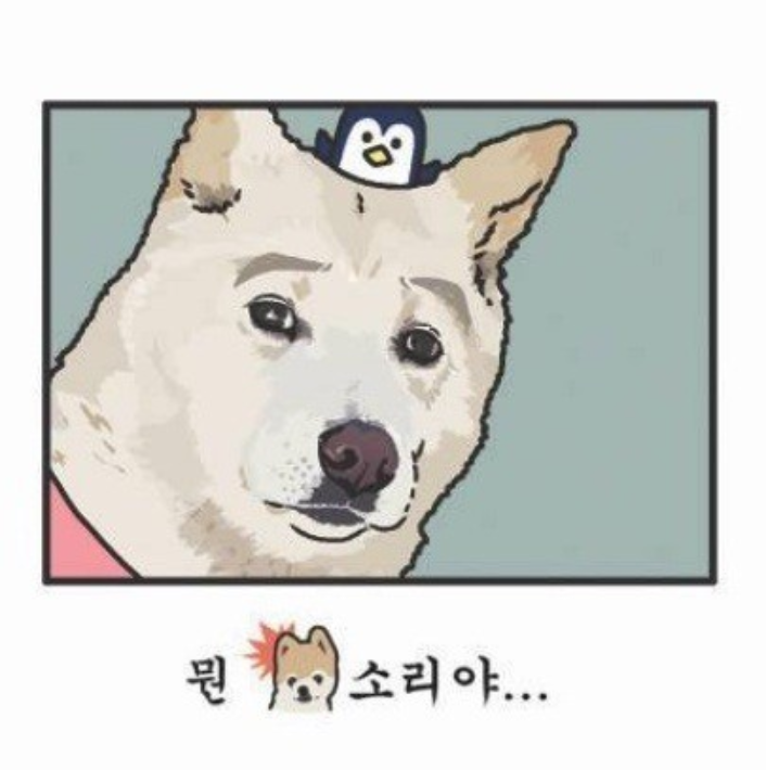 부산평화시장 이미지