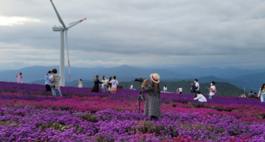 경남 전세버스 협동조합 이미지