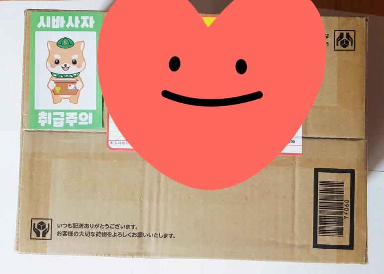 시바직구 이미지