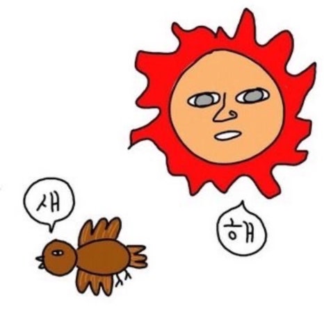오리와 쭈꾸미 이미지