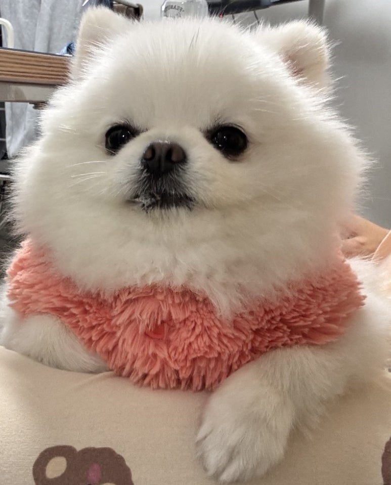 경아슈퍼 이미지