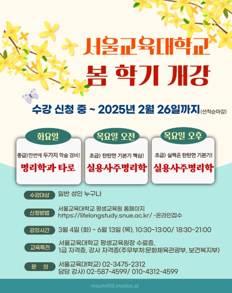 더봄평생교육원 이미지