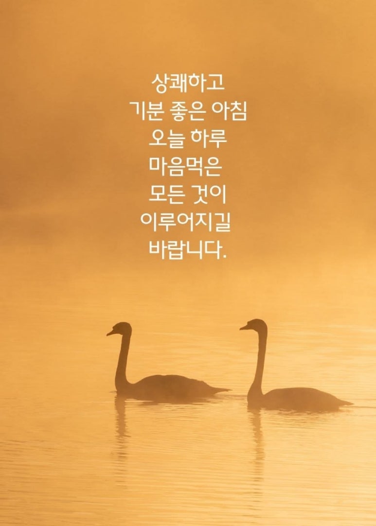 두부촌 이미지